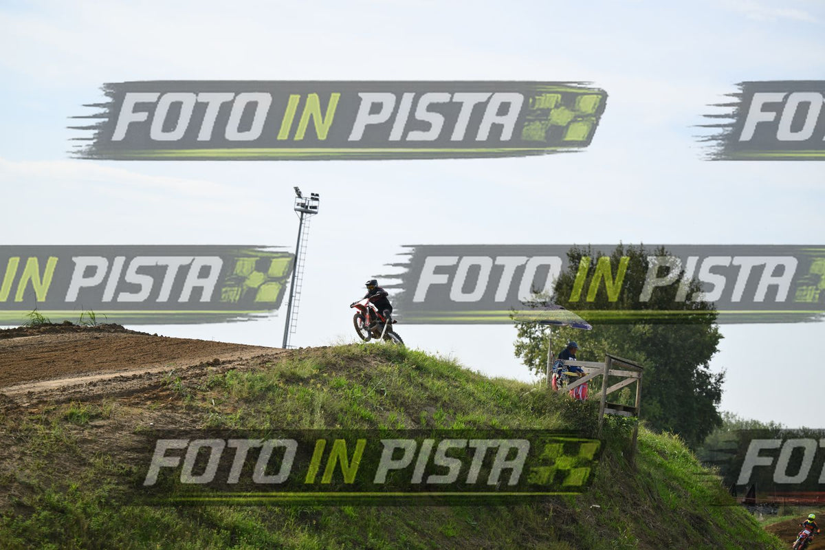 39 · DSH_1879