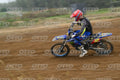 12 · DSH_1895