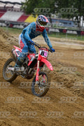 82 · DSH_1900