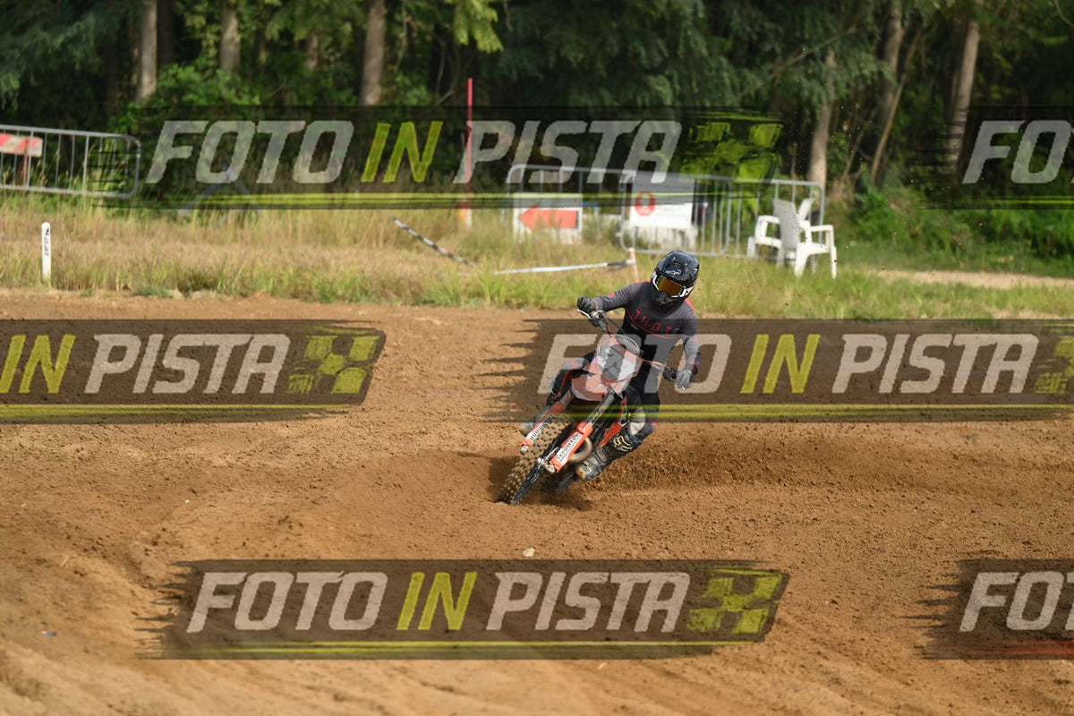 39 · DSH_1917