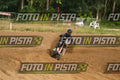 39 · DSH_1919