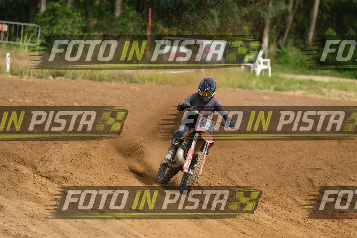 39 · DSH_1923