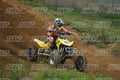 151 · DSH_1988