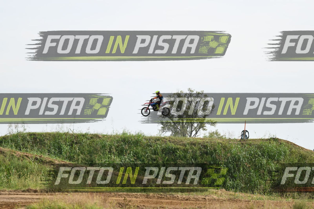 118 · DSH_1989