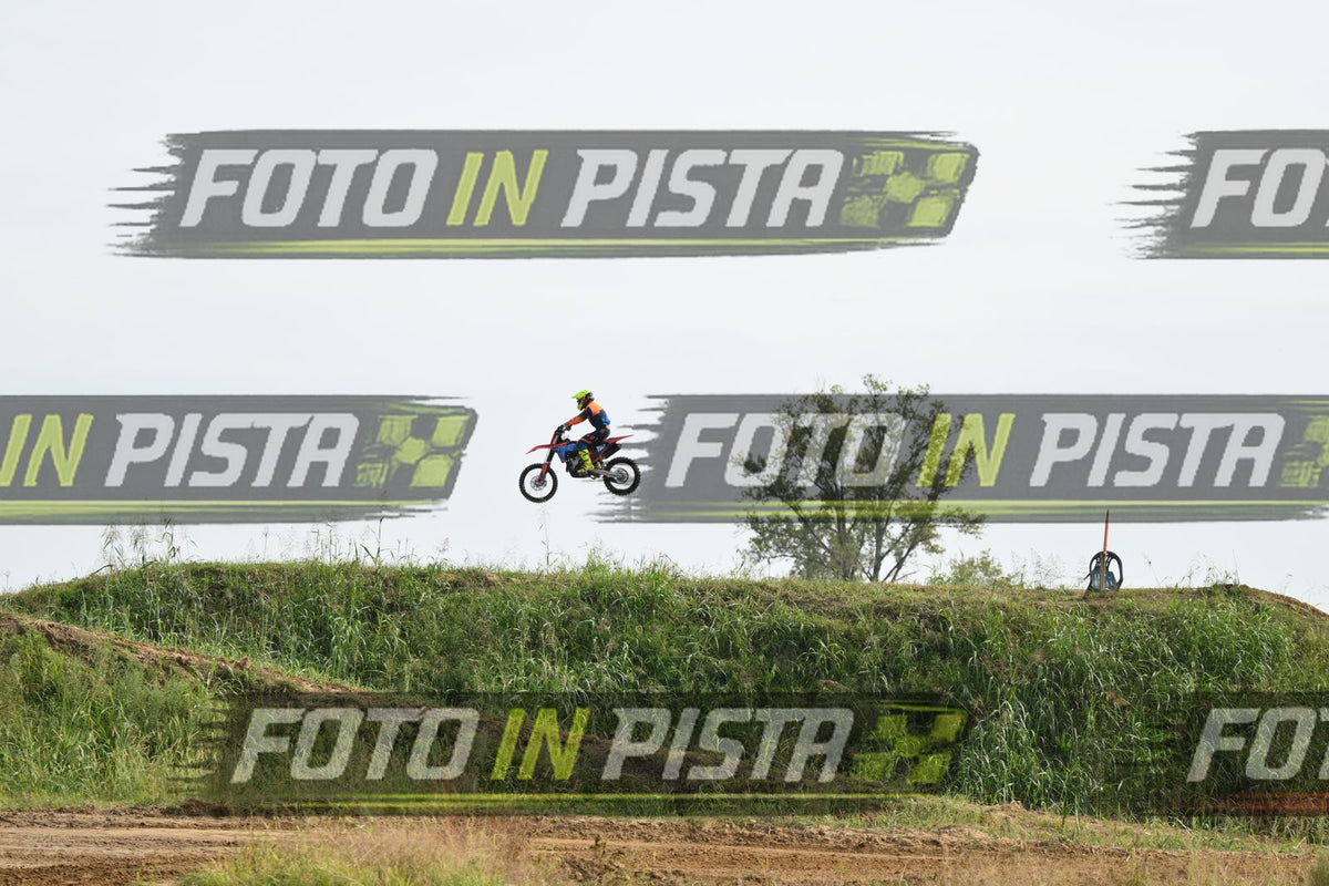 118 · DSH_1991
