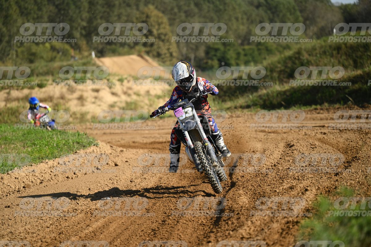 33 · DSH_2006