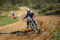 33 · DSH_2008