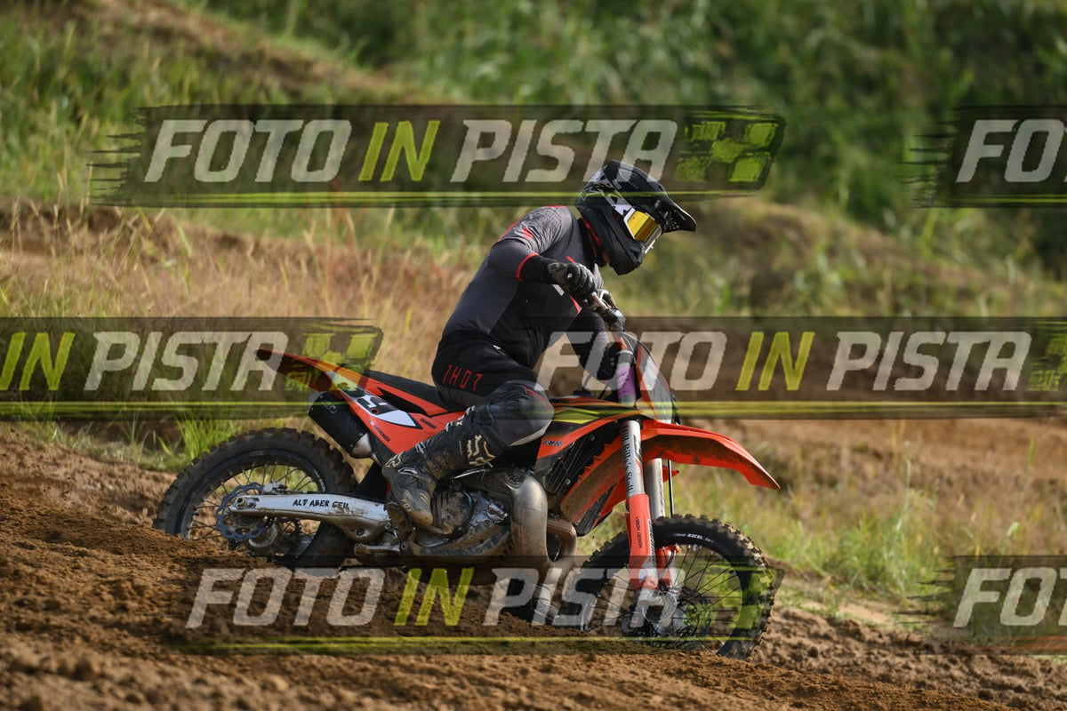 39 · DSH_2010
