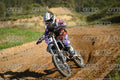 33 · DSH_2010