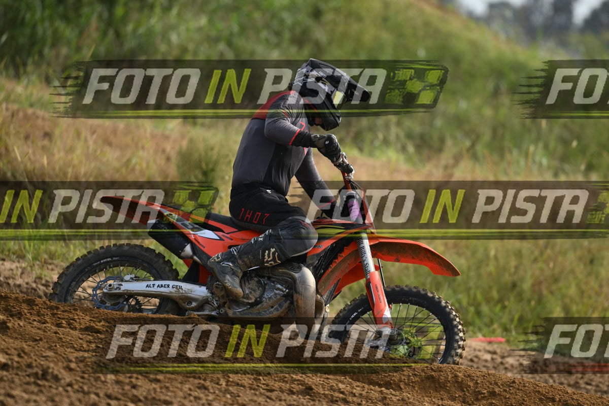 39 · DSH_2012