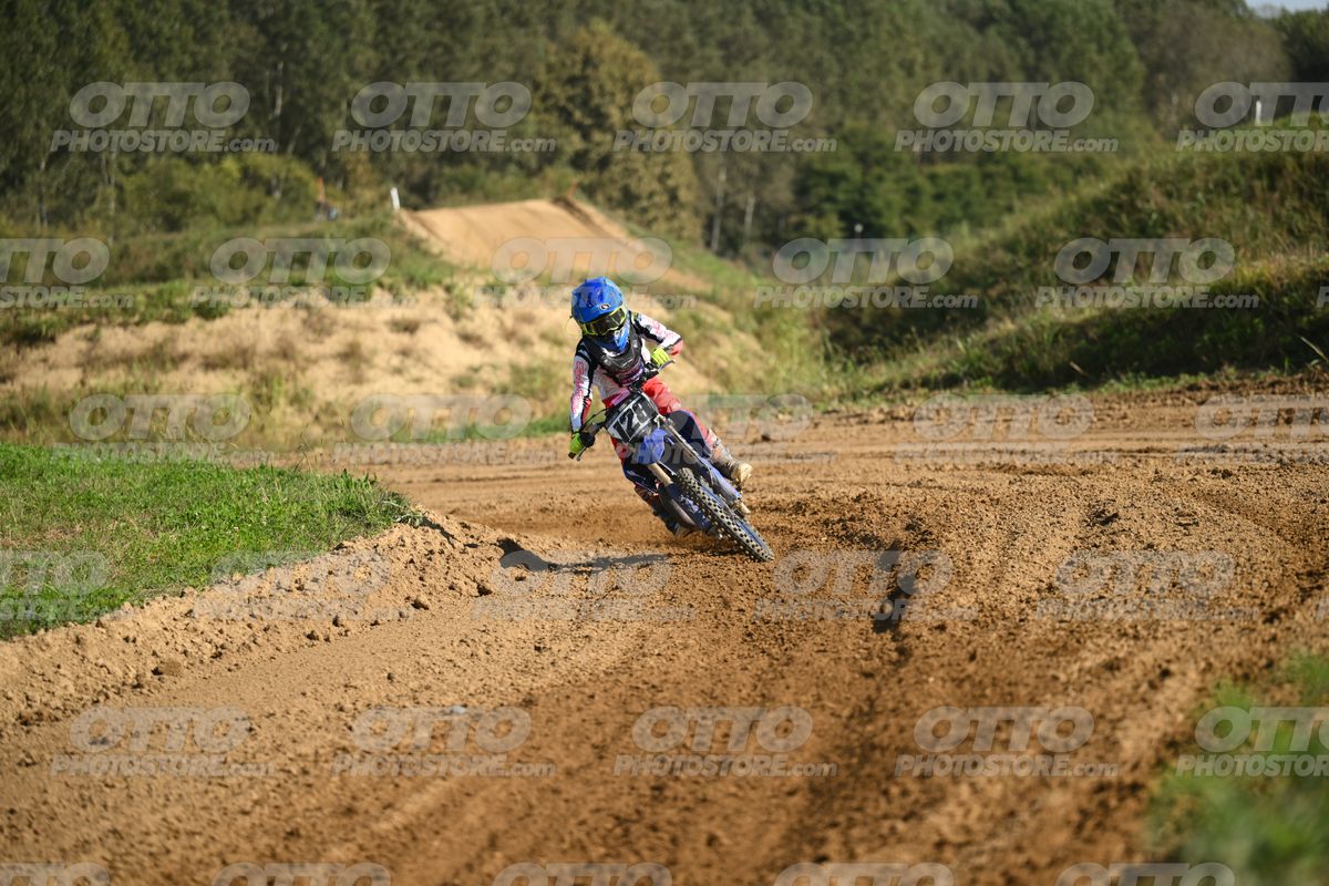728 · DSH_2012