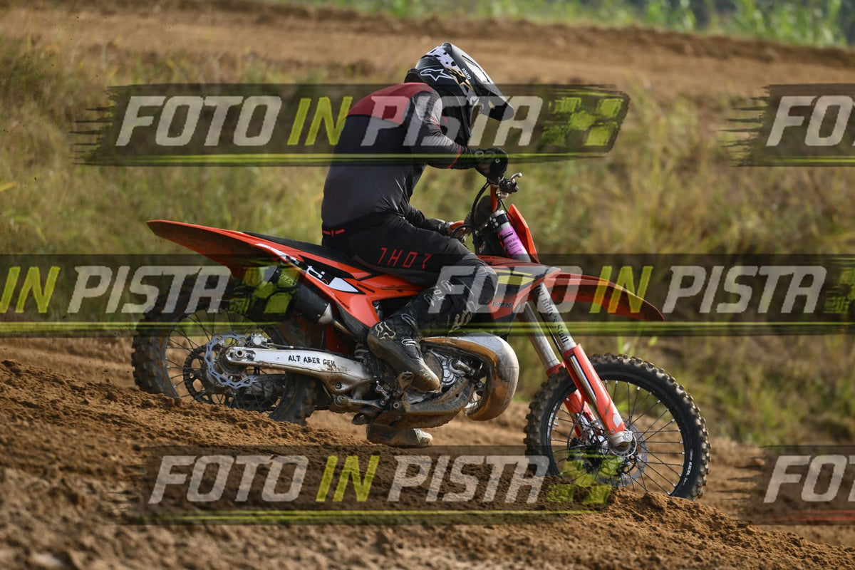 39 · DSH_2013