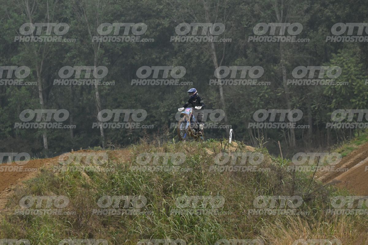 521 · DSH_2013