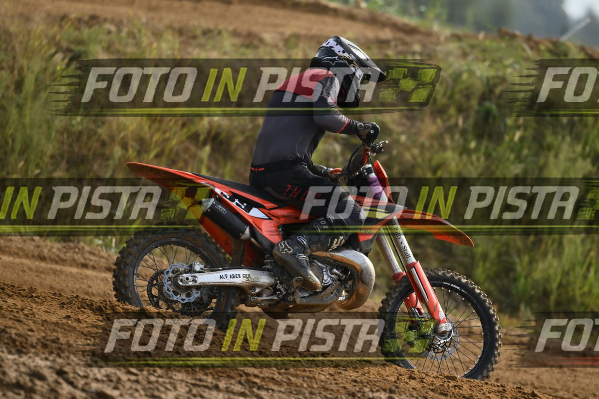 39 · DSH_2015