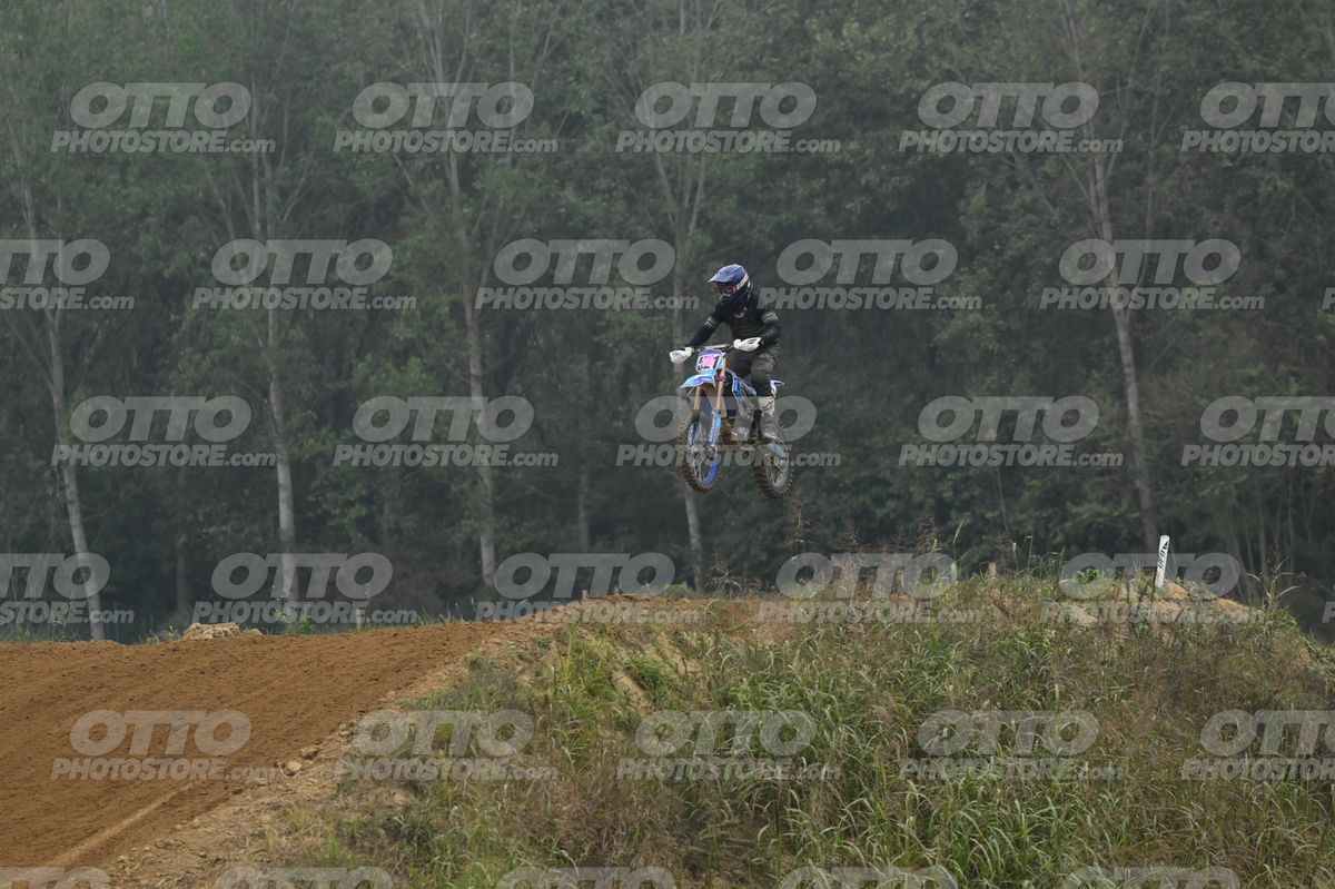 521 · DSH_2015