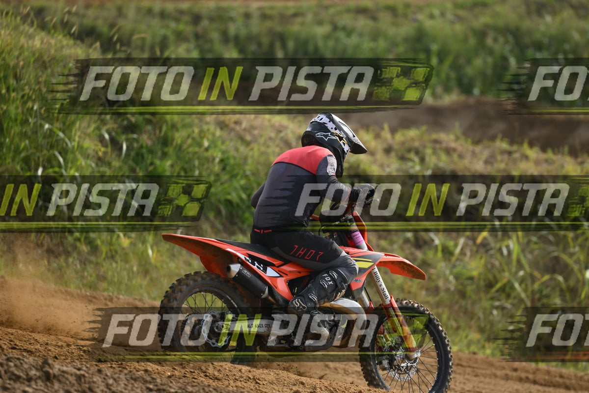 39 · DSH_2017