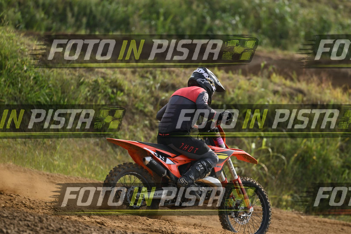 39 · DSH_2018