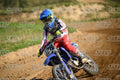 128 · DSH_2019