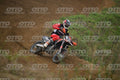 31 · DSH_2022