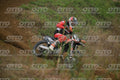 31 · DSH_2023