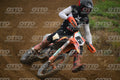 6 (KTM) · DSH_2049