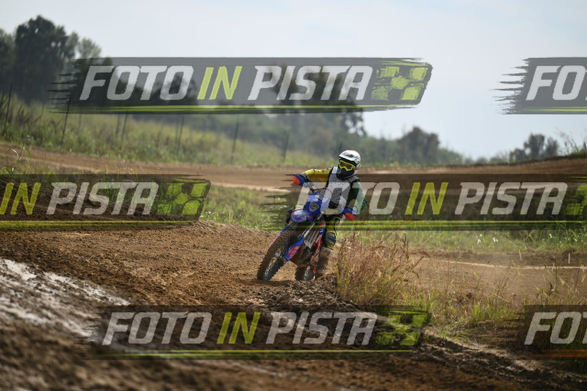 BETA · DSH_2066
