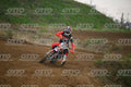 31 · DSH_2066