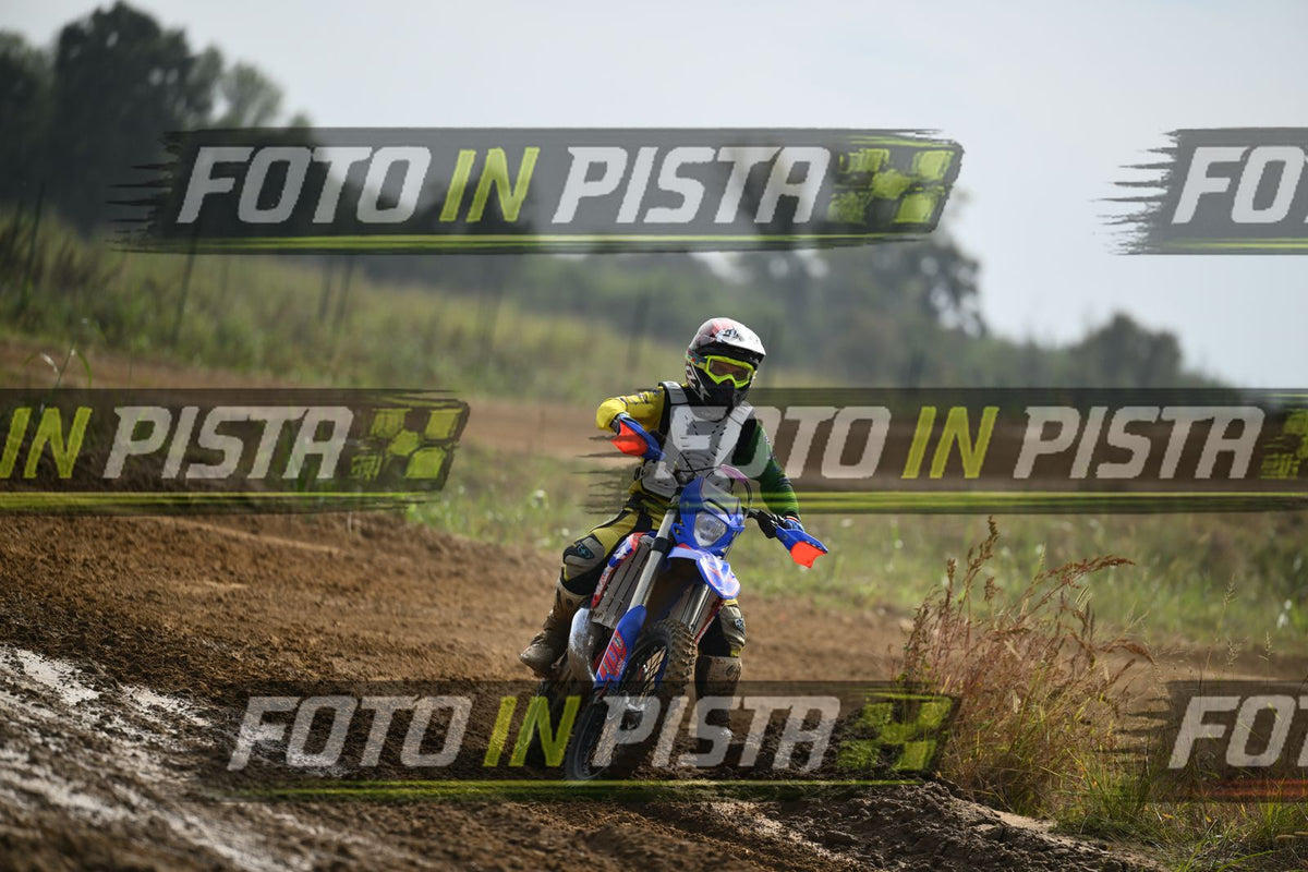 BETA · DSH_2068