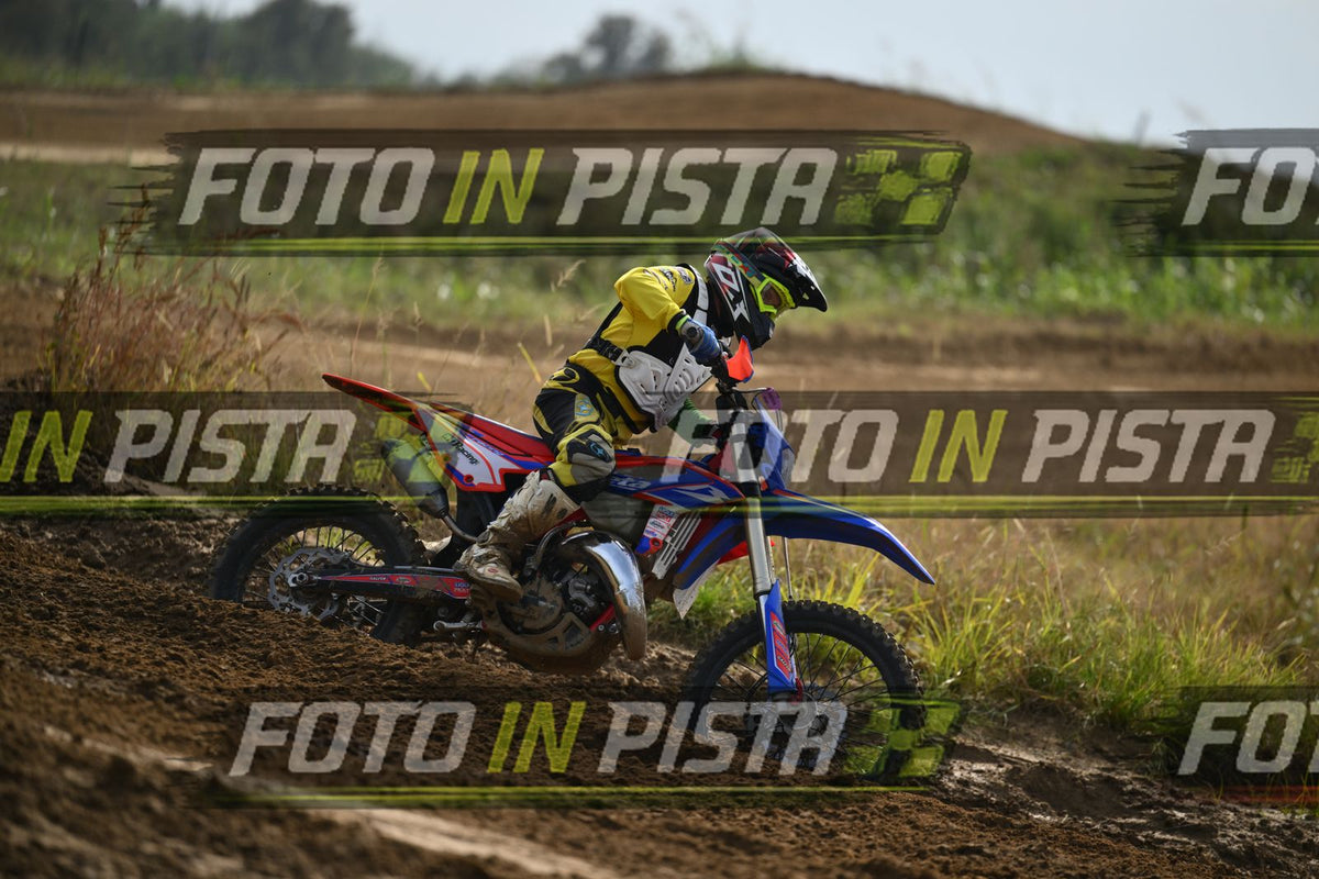 BETA · DSH_2073