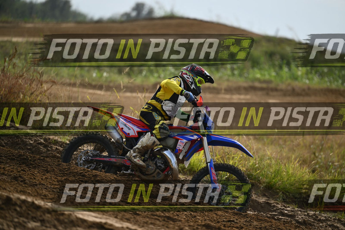 BETA · DSH_2074