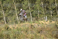 53 · DSH_2094