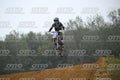 521 · DSH_2095