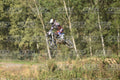 53 · DSH_2096