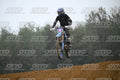 521 · DSH_2096