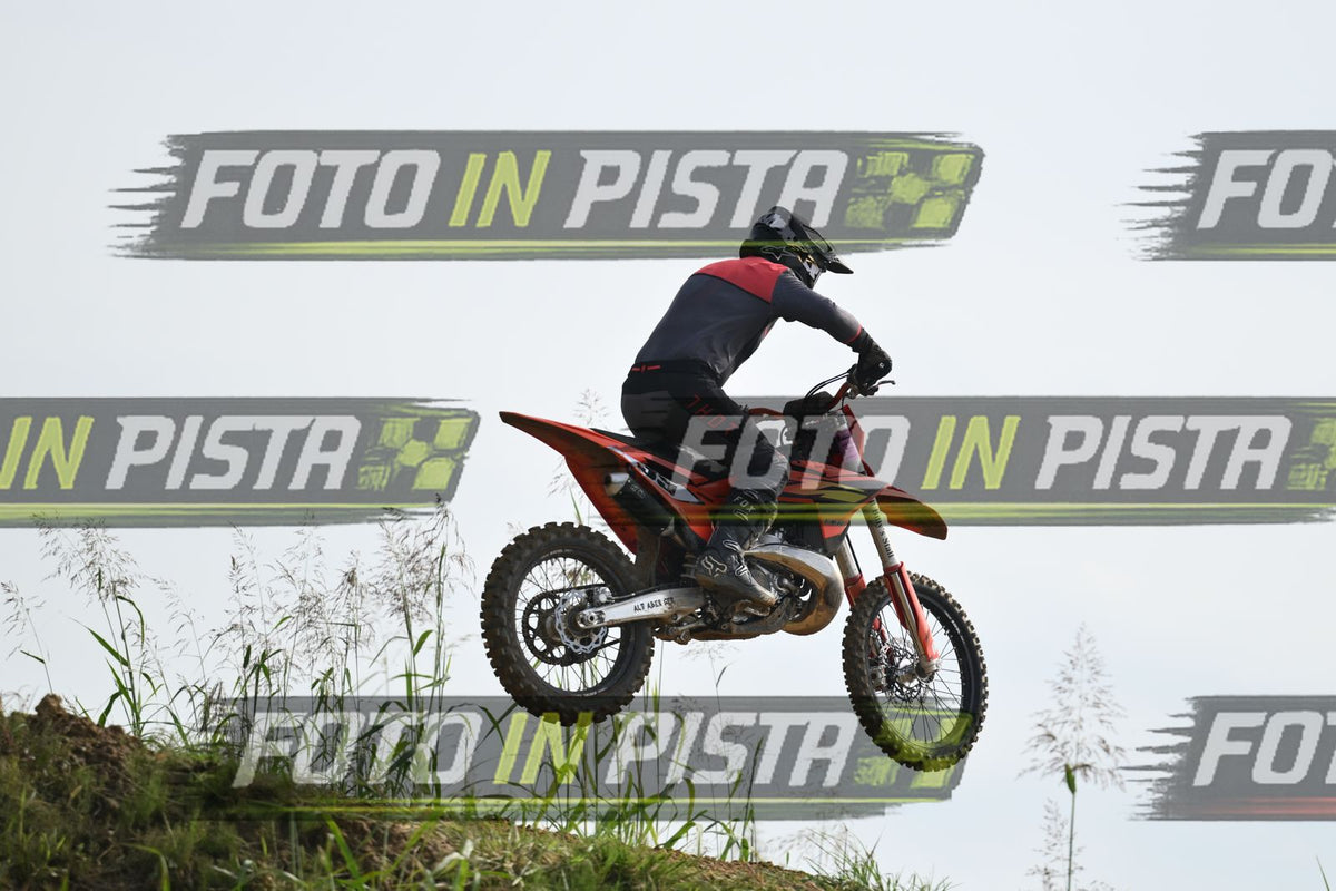 39 · DSH_2145