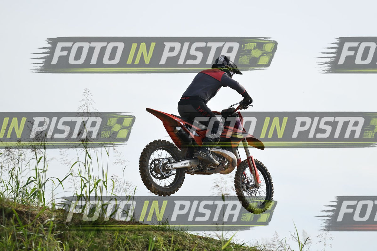 39 · DSH_2146