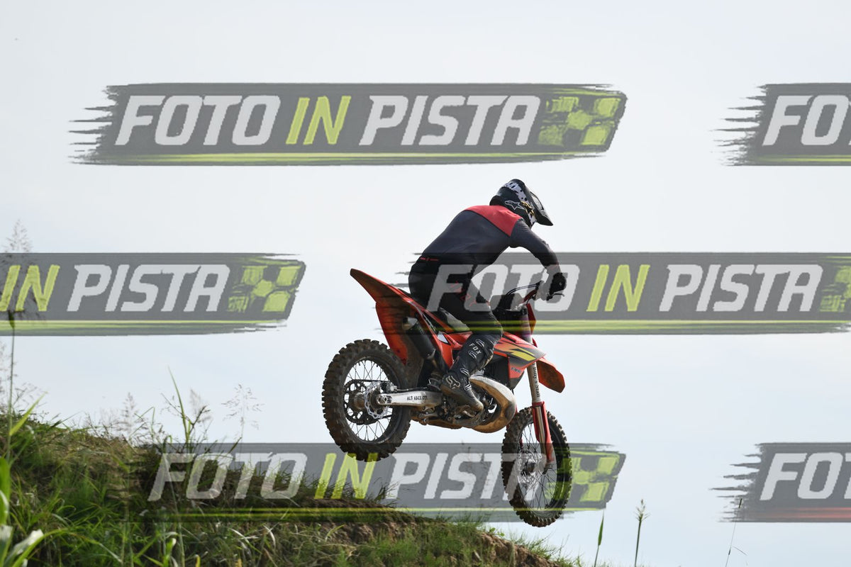 39 · DSH_2149