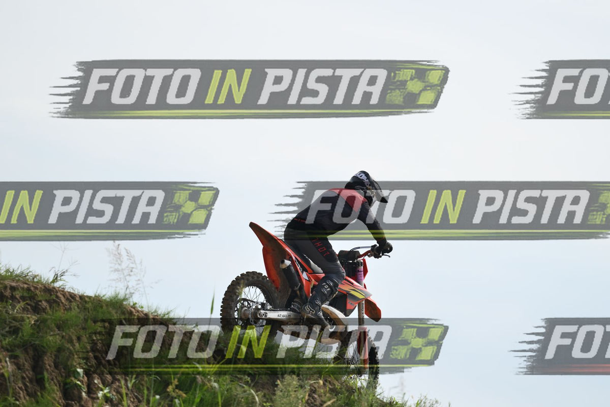 39 · DSH_2151