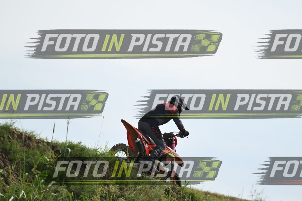 39 · DSH_2152