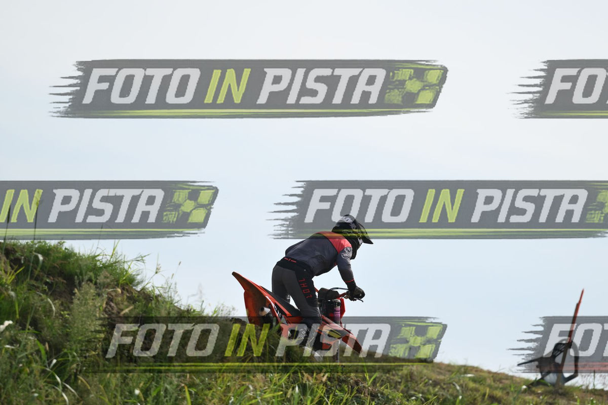 39 · DSH_2153