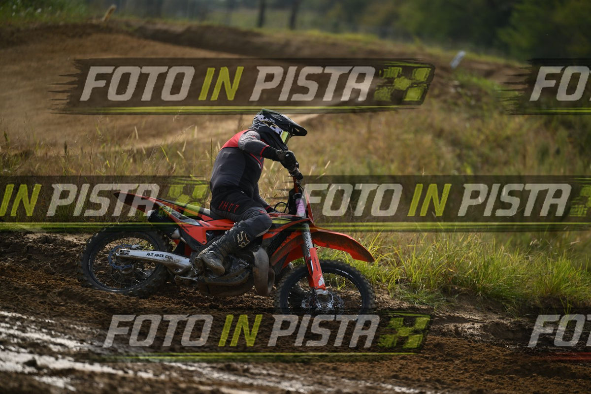 39 · DSH_2169