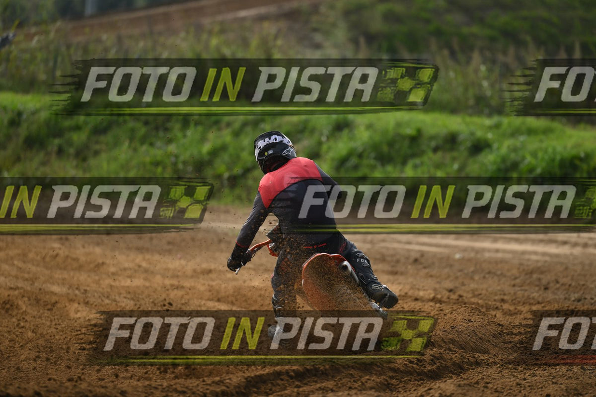 39 · DSH_2174