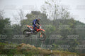 335 · DSH_2178