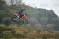 335 · DSH_2179