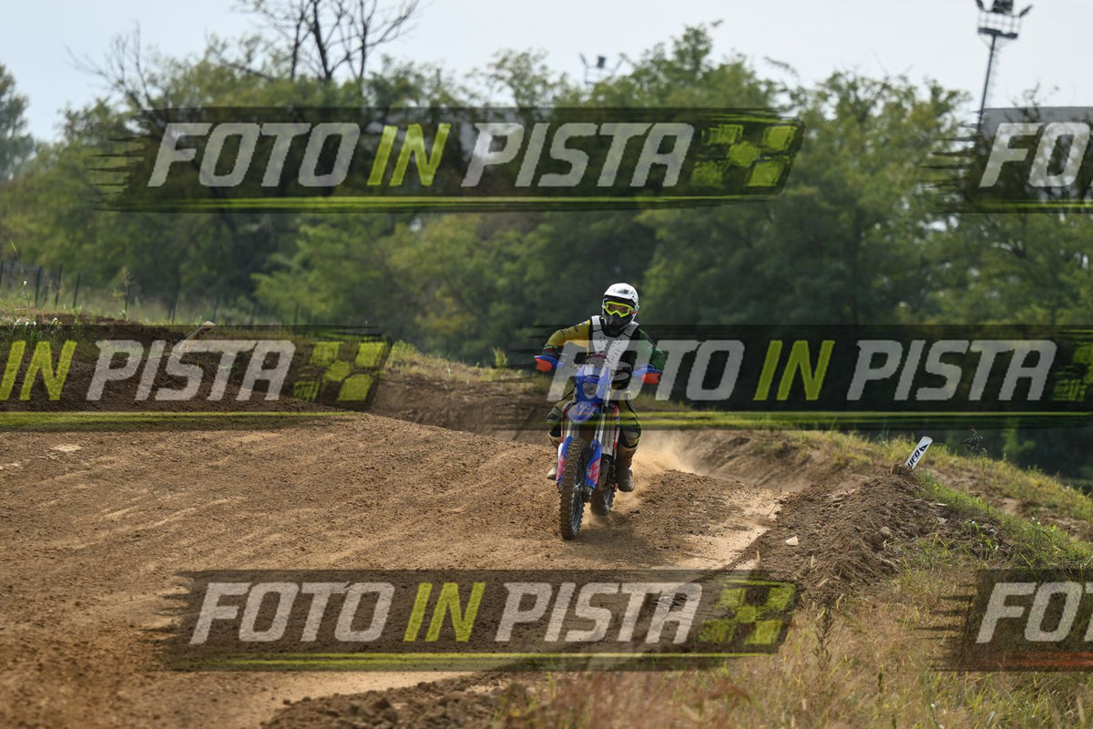 BETA · DSH_2186