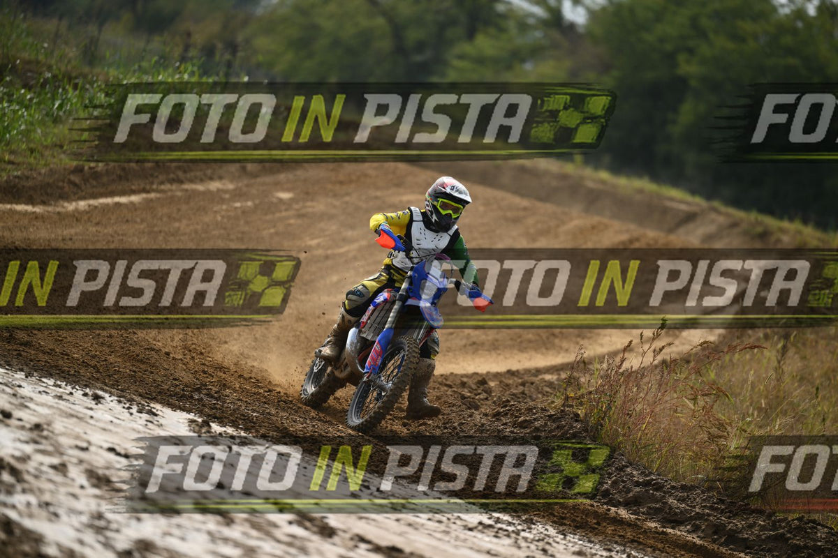 BETA · DSH_2190