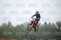 335 · DSH_2193