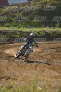 576 · DSH_2194