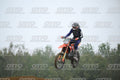 335 · DSH_2194