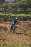 576 · DSH_2195